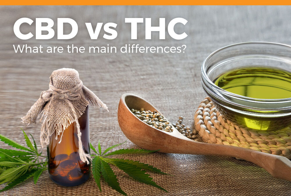 CBD vs THC: What Are the Main Differences?