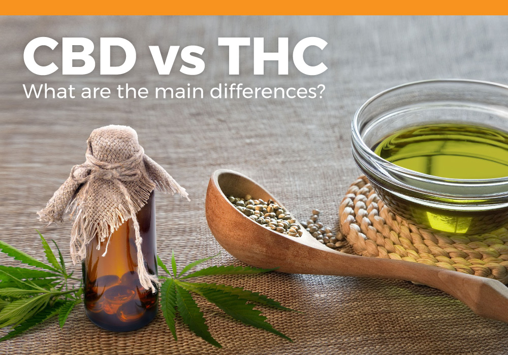 CBD Vs THC: What Are The Main Differences? - CBD Cargo